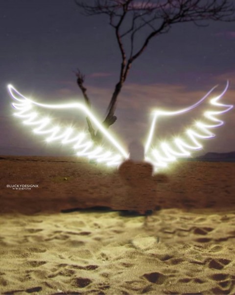 Picsart Wings Photo Editing Background