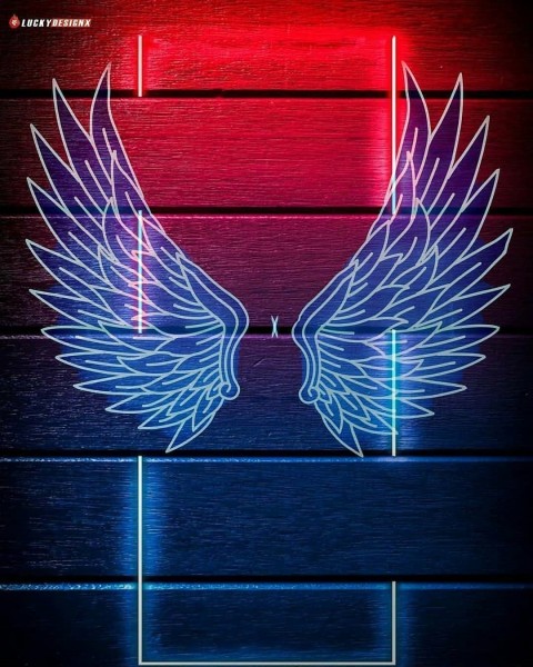 Picsart Wings Photo Editing Background HD