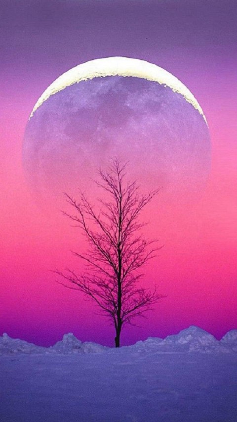 Pink Aesthetic Tree iPhone Background HD