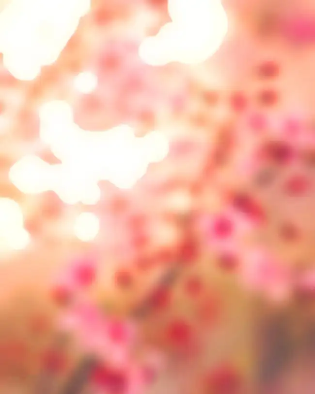 Pink Blur CB Light Bokeh Effect Background HD Download