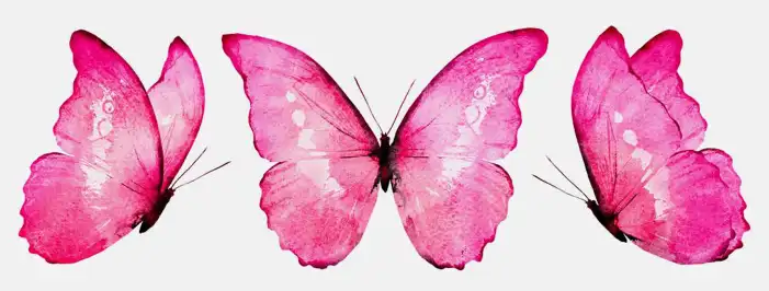 Pink Butterfly Background HD Images