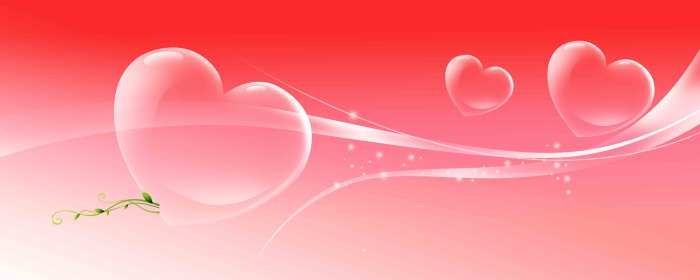 Pink Heart  Wedding Album Backgrounds HD Wallpapers