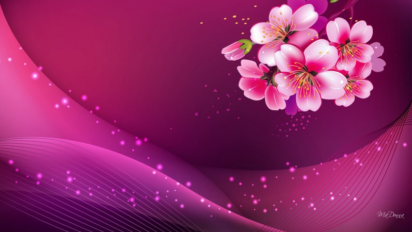 Pink  PowerPoint PPT Background HD