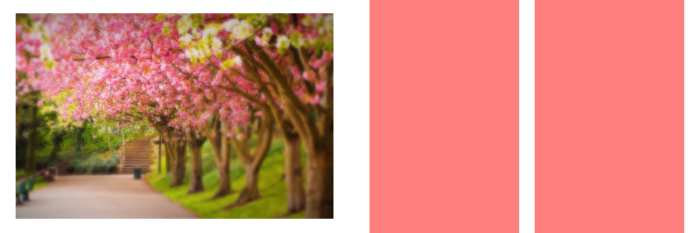 Pink Tree Wedding Album Background Image Download