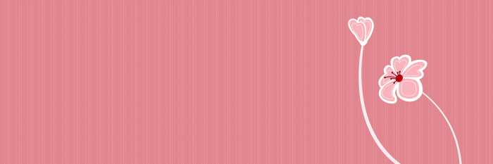 Pink Wedding Marriage Flower Album Background Free