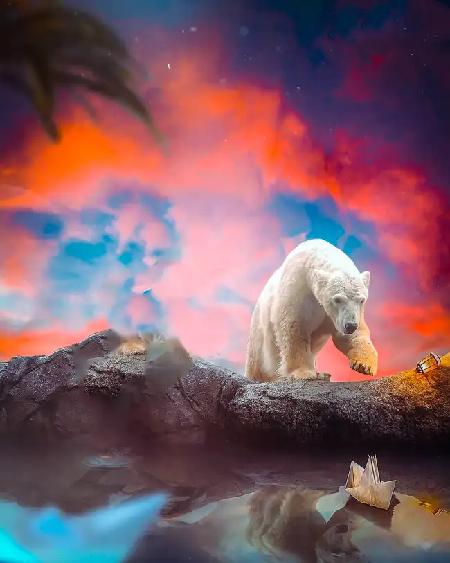 Polar Bear CB Edit Background HD For Picsart Editing