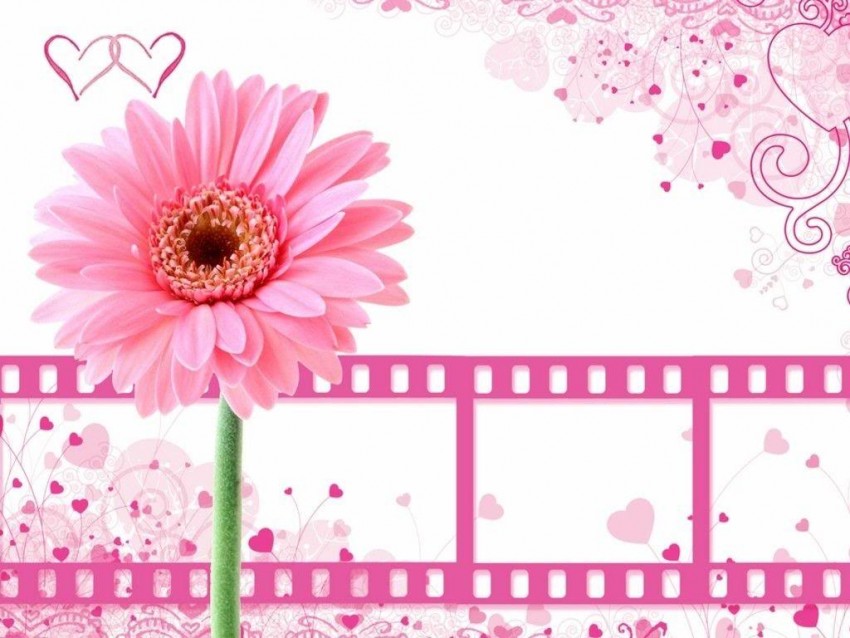 Pretty Flowers PowerPoint PPT Background