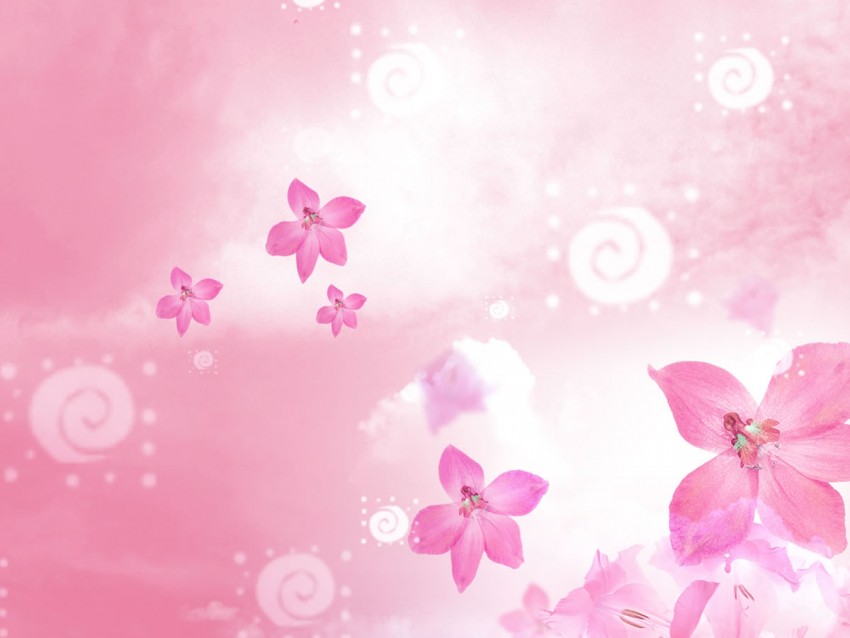 Pretty Flowers PowerPoint PPT Background