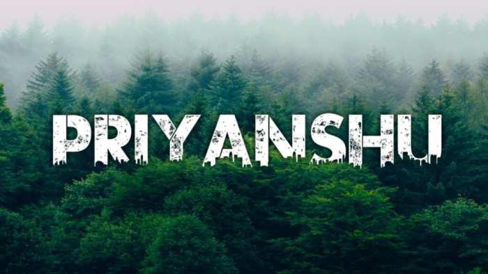 Priyanshu Urban Jungle Background Free HD Images