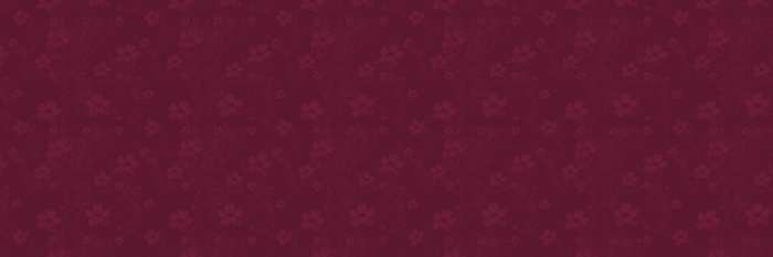 Purple Red Orange Wedding Marriage Flower Album Background Free