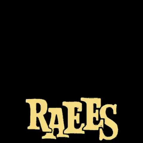 Raees Picsart English Hindi Text PNG Images Download