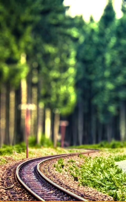 Railway Track Forest Editing CB Picsart Background HD Download