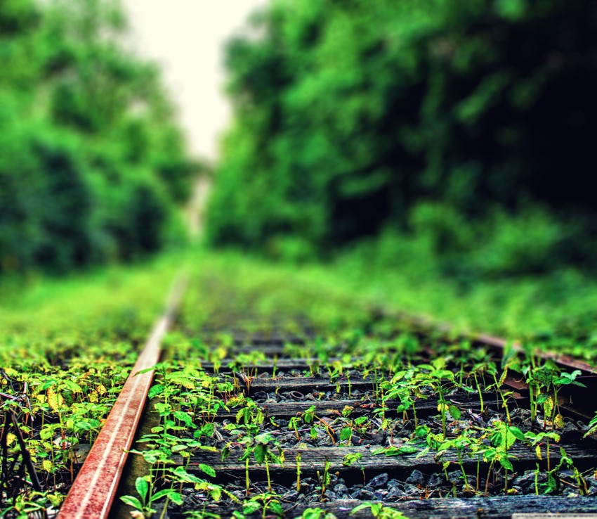 Railway Track Forest Editing CB Picsart Background HD Download