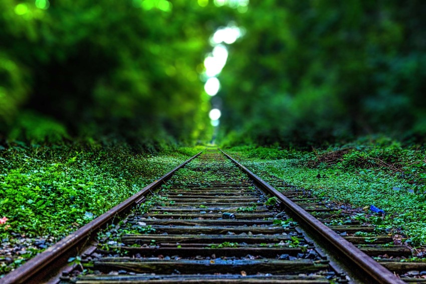 Railway Track Forest Green Tree CB Picsart Background Full HD