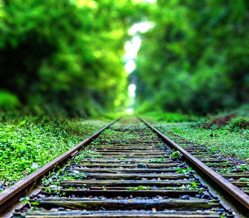 Railway Track Forest Tree CB Picsart Background Full HD Download