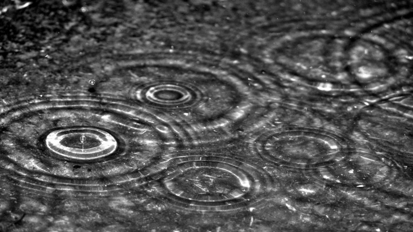 Rain Drop Ful HD Background Download