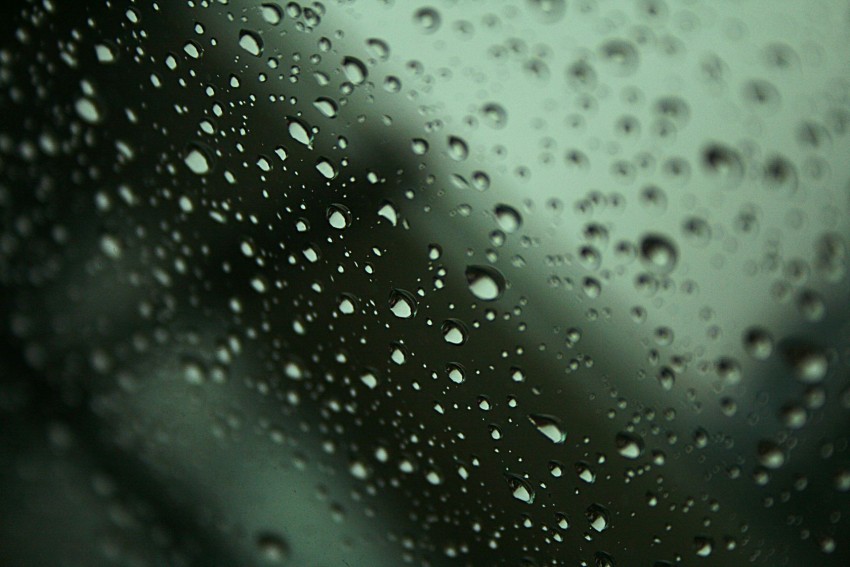 Rain Droplest HD Background Download Free