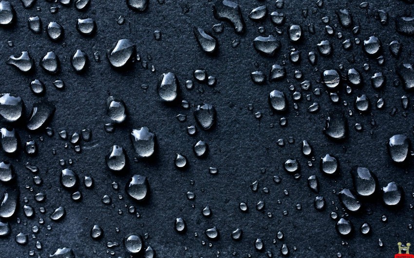 Rain Droplest HD Background Images Download