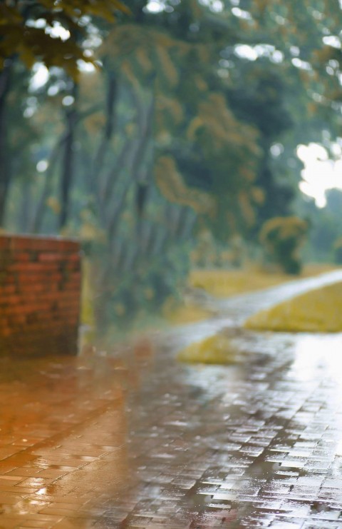 Rain Road CB Background For Photo Editing