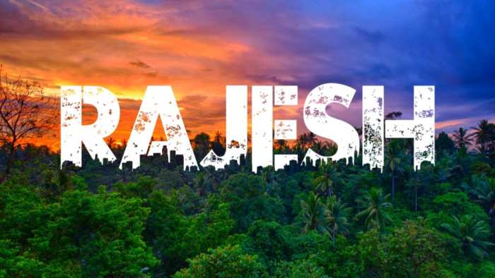 Rajesh Urban Jungle Background Full Hd Download Free HD Images