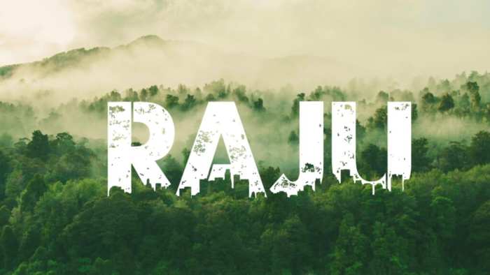 Raju Urban Jungle Font Download Free Free HD Images