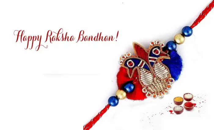 Rakhi Raksha Bandhan White Poster Banner Background  HD Images