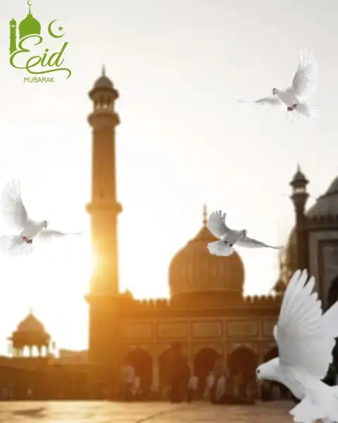 Ramazan Bird Editing CB PicsArt Background  HD Download