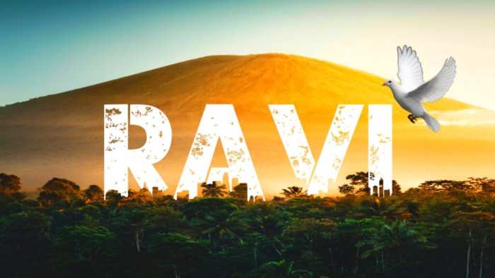 Ravi Urban Jungle Background Free HD Images