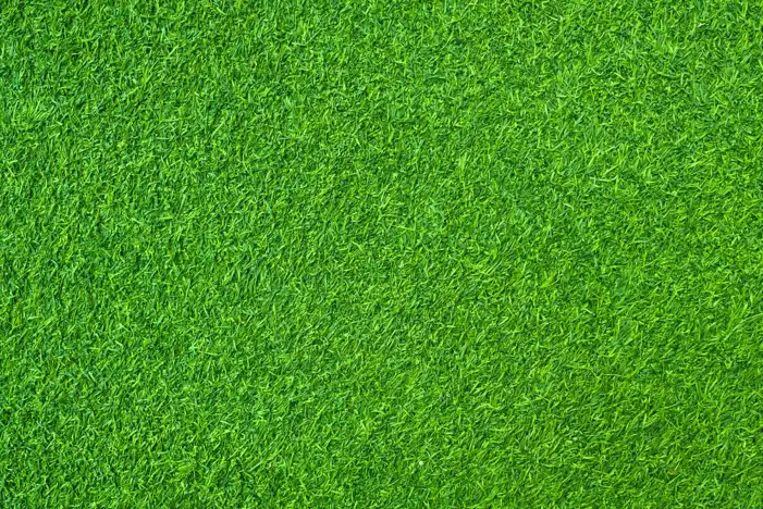 Real Editing Green Grass Background HD Images Free