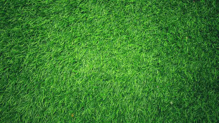 Real Green Grass Texture Background Full HD Images Free