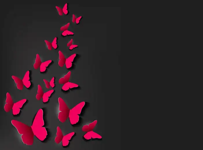 Red Black Butterfly Background HD Images