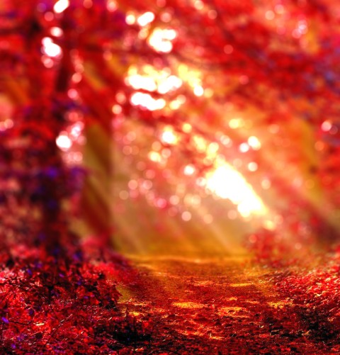 Red Forest Editing CB Picsart Background HD Download