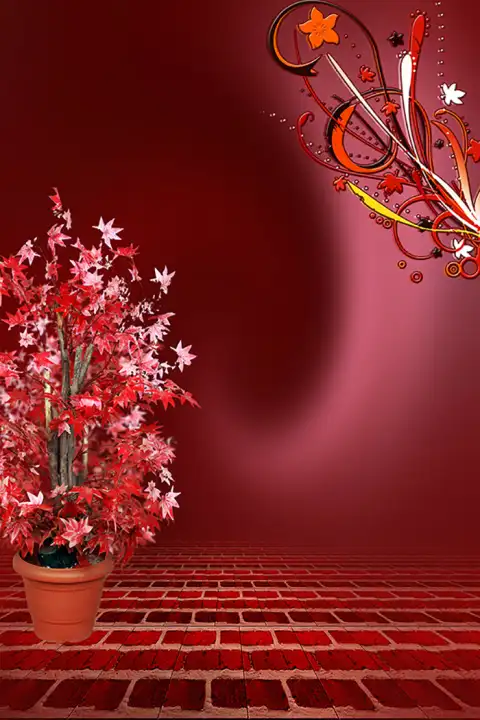 Red Indoor Studio Background HD Download