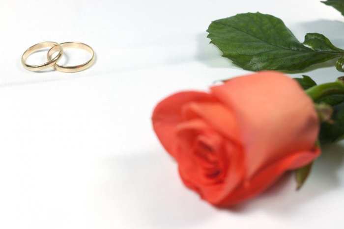 Red Rose Wedding Marriage Background Free Download