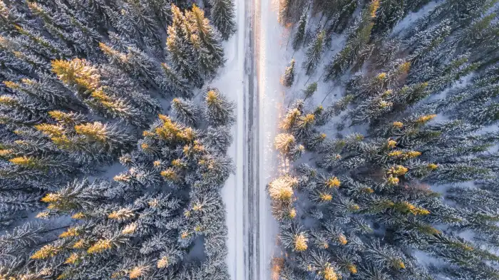 Road Aerial View Snow Covered Forest Background