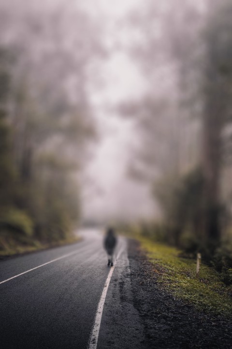 Road CB Photo Editing Background HD Download