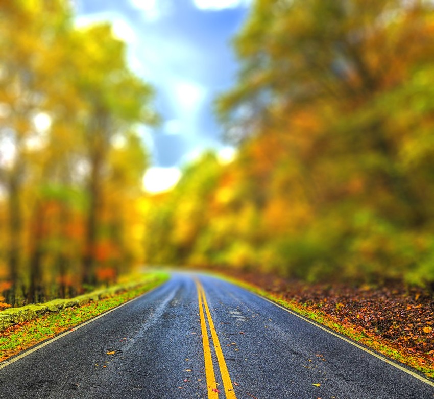 Road Forest Tree CB Picsart Background Full HD Download