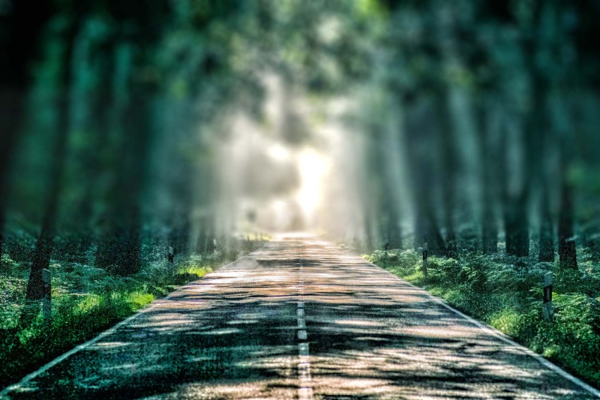 Road Forest Tree CB Picsart Background Full HD Download