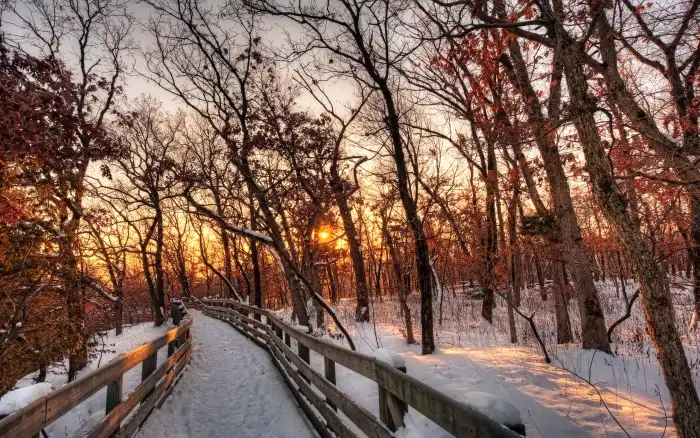 Road Path Sunrise Winter Forest Background HD Images