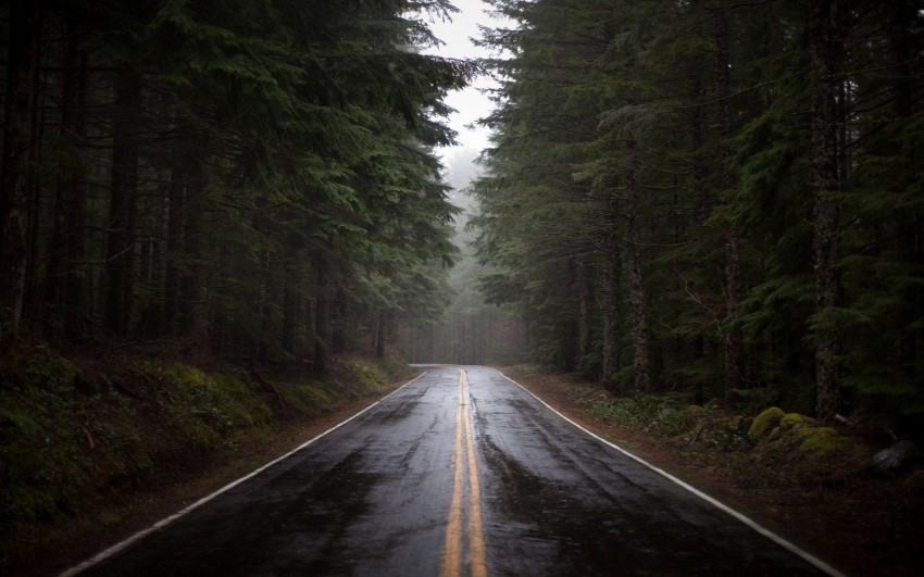 Road Rain High Resolution  HD Background