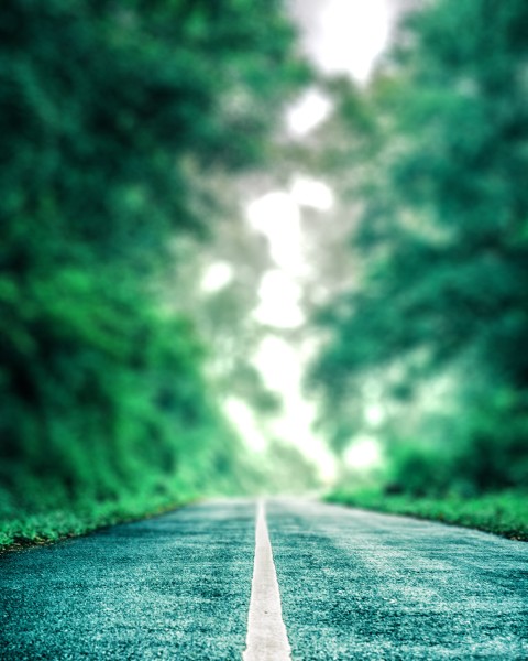 Road Tree CB Editing Background HD Download Free