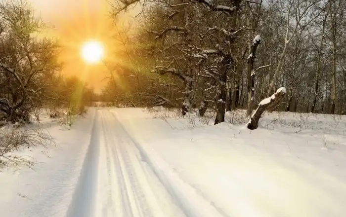 Road Wintersun Forest Background HD Wallpaper