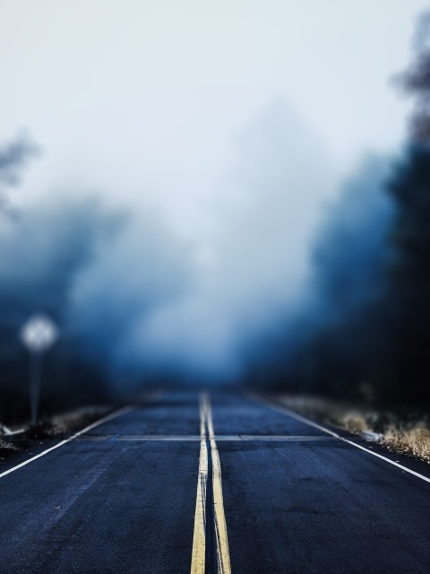 Road With Tree CB   Editing Background HD Download