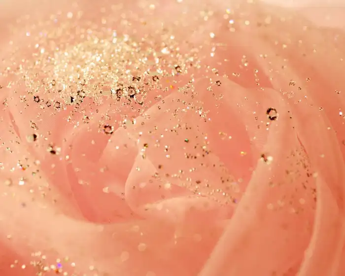 Rose Gold Glitter Background HD Wallpapers