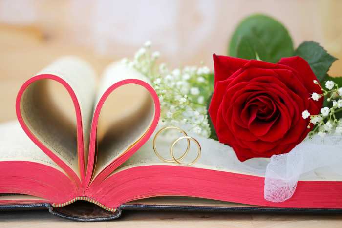 Rose Wedding Marriage Background Free Download