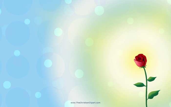 Rose Wedding Marriage Background Free Download