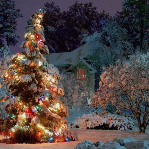 Rustic Christmas Wallpapers Background Photos