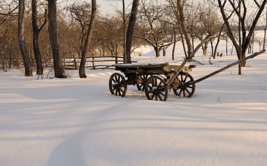 Rustic Winter Tree Field Background HD Download