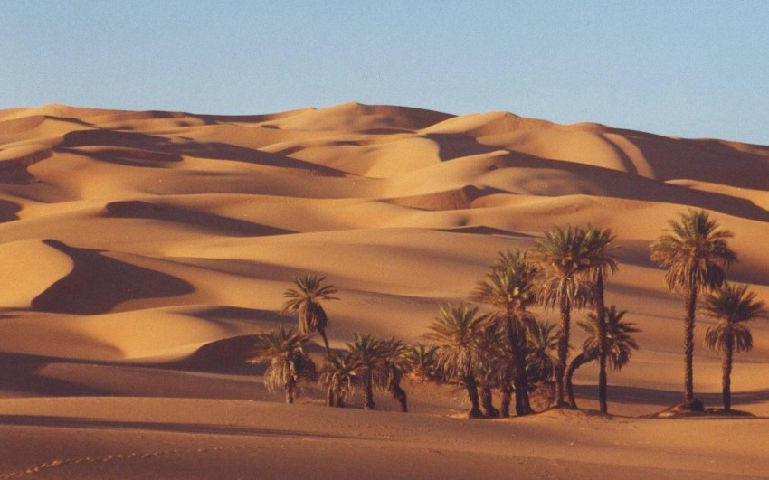 Sahara Background HD Wallpaper Download Free