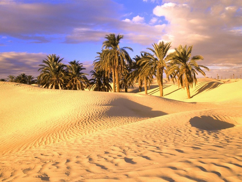 Sahara Background HD Wallpaper Download Free